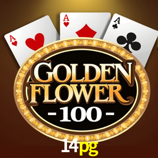 Apostas Esportivas na 14pg: Um Guia Completo